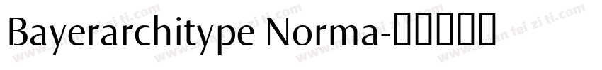 Bayerarchitype Norma字体转换